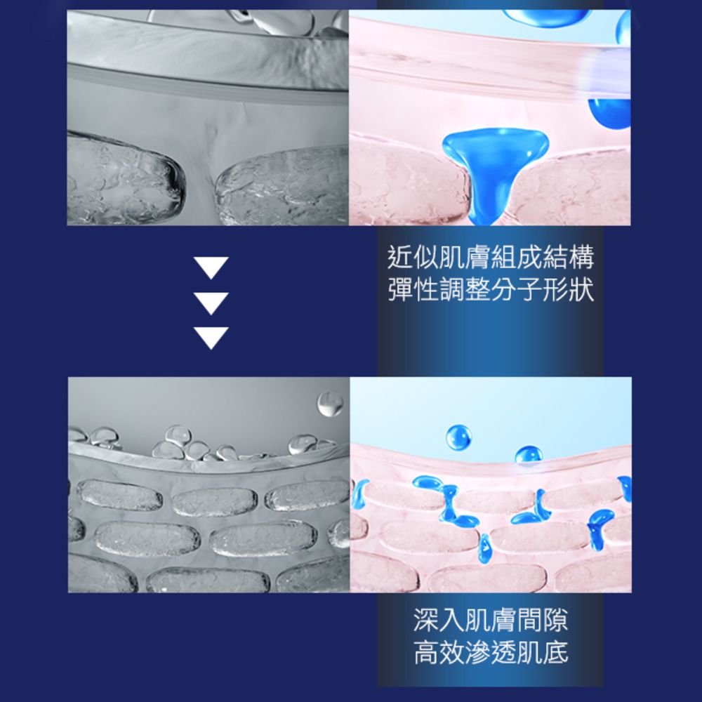 近似肌膚組成結構彈性調整分子形狀深入肌膚間隙高效滲透肌底