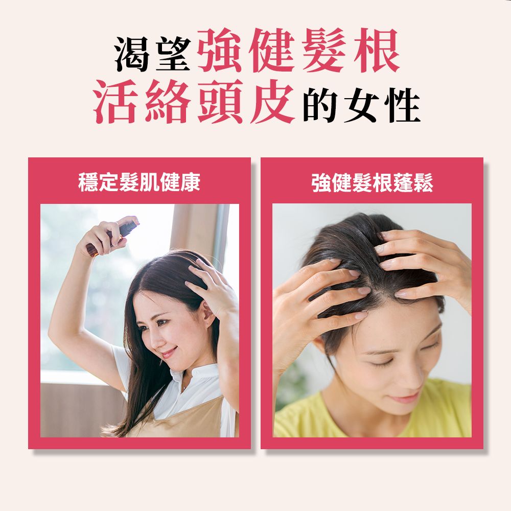 渴望強健根活絡頭皮的女性穩定髮肌健康強健髮根蓬鬆