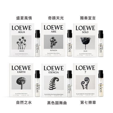 LOEWE 淡香水/淡香精(1.5ml)X3-多款任選-國際航空版