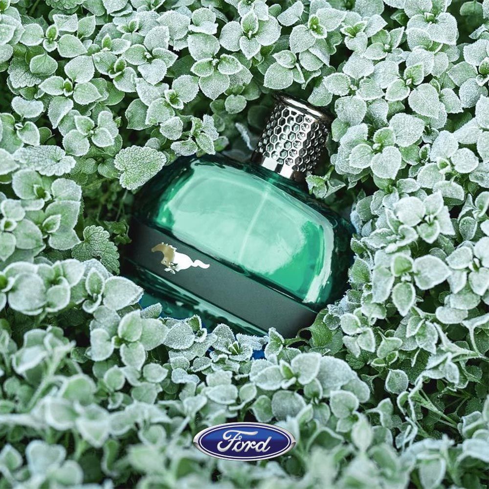 FORD MUSTANG 福特野馬   美式傳奇綠鑽男性淡香水禮盒(淡香水100ml+2合1沐浴膠100ml+鬍後膠100ml)