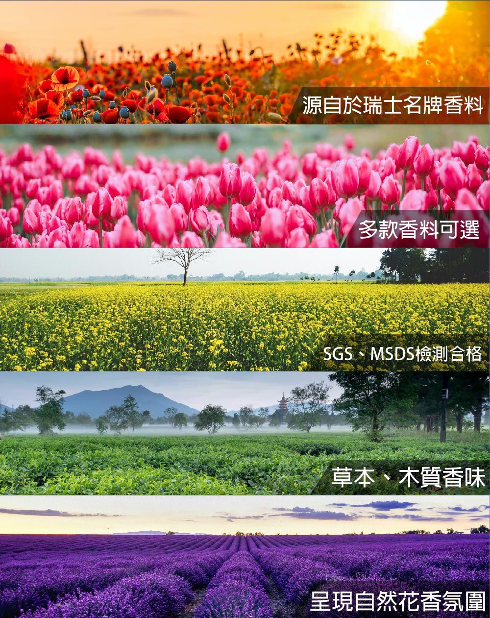 源自於瑞士名牌香料多款香料可選SGS、MSDS檢測合格草本、木質香味呈現自然花香氛圍
