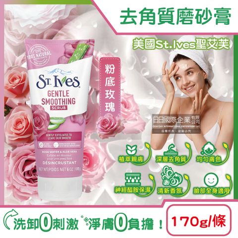 St.Ives 美國聖艾芙-經典植萃潤澤深層去角質潔淨磨砂膏-粉底玫瑰170g/條(臉部全身皆適用)