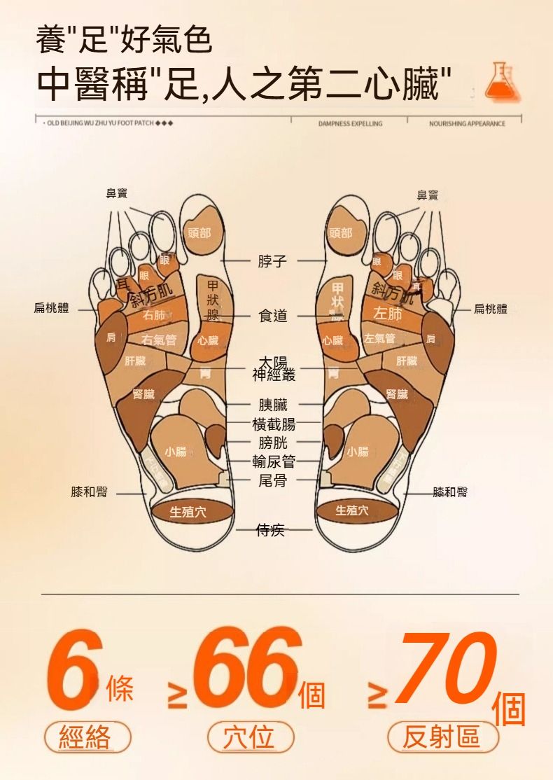 養足好氣色中醫稱足,人之第二心臟 OLD BELJING WU ZHU YU FOOT DAMPNESS EXPELLINGNOURISHING APPEARANCE扁桃體鼻竇頭部頭部脖子√斜方肌右肺狀腺甲斜方食道左肺扁桃體右氣管心臟心臟左氣管肝臟腎臟太陽神經胰臟橫截腸肝臟腎臟膀胱小腸小腸-輸尿管-尾骨膝和臀-膝和臀生殖穴生殖穴6 66 70條經絡穴位反射區