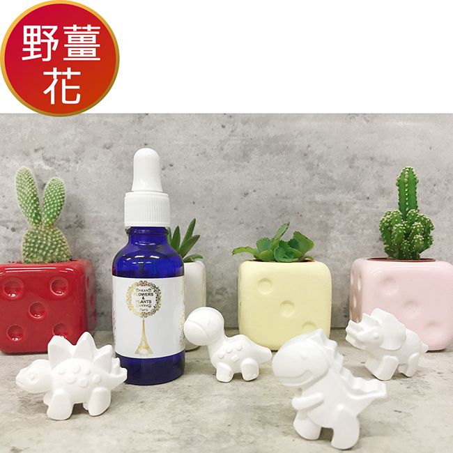 Flowers&Plants 愛戀花草 夏威夷野薑花水氧薰香精油30ML+贈恐龍擴香石4個 (2件再加贈蛋形水氧機)