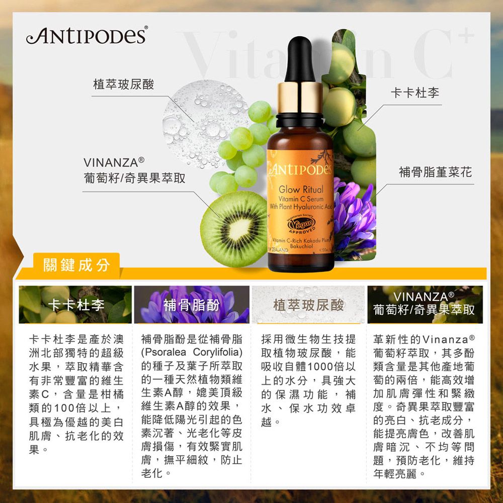 Jollyard 潔麗雅  Antipodes安緹芃 卡卡杜美妍C精華液 30ml