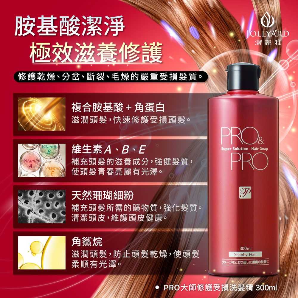 Jollyard 潔麗雅  大師修護受損髮組 (洗髮精300ml +潤護髮乳230g)