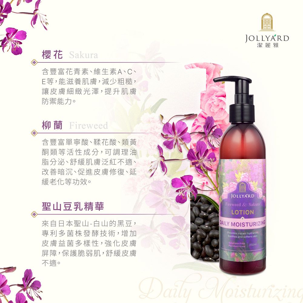 Jollyard 潔麗雅 柳蘭櫻花輕盈保濕乳液250ml *二瓶