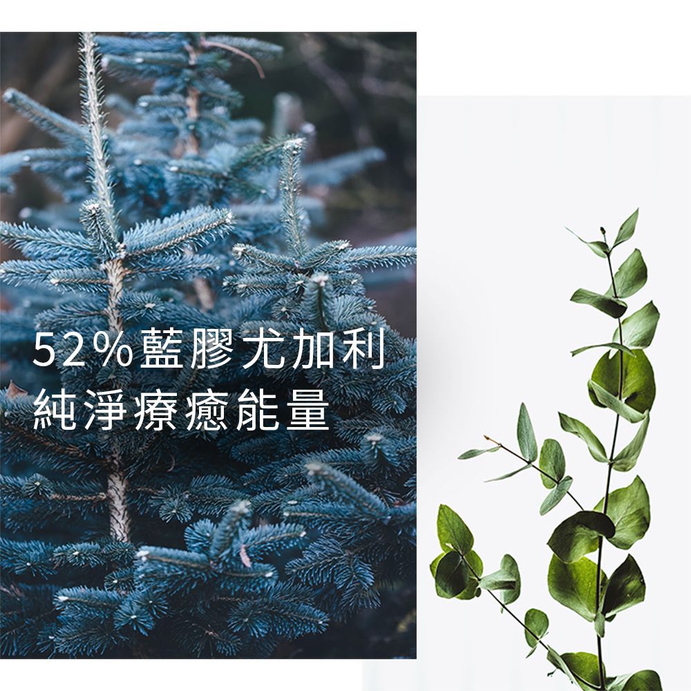 Agricola 植物者 -清淨森呼吸複方精油(20ml)- 德國原裝進口 純植物萃取天然擴香 緩和呼吸道敏感