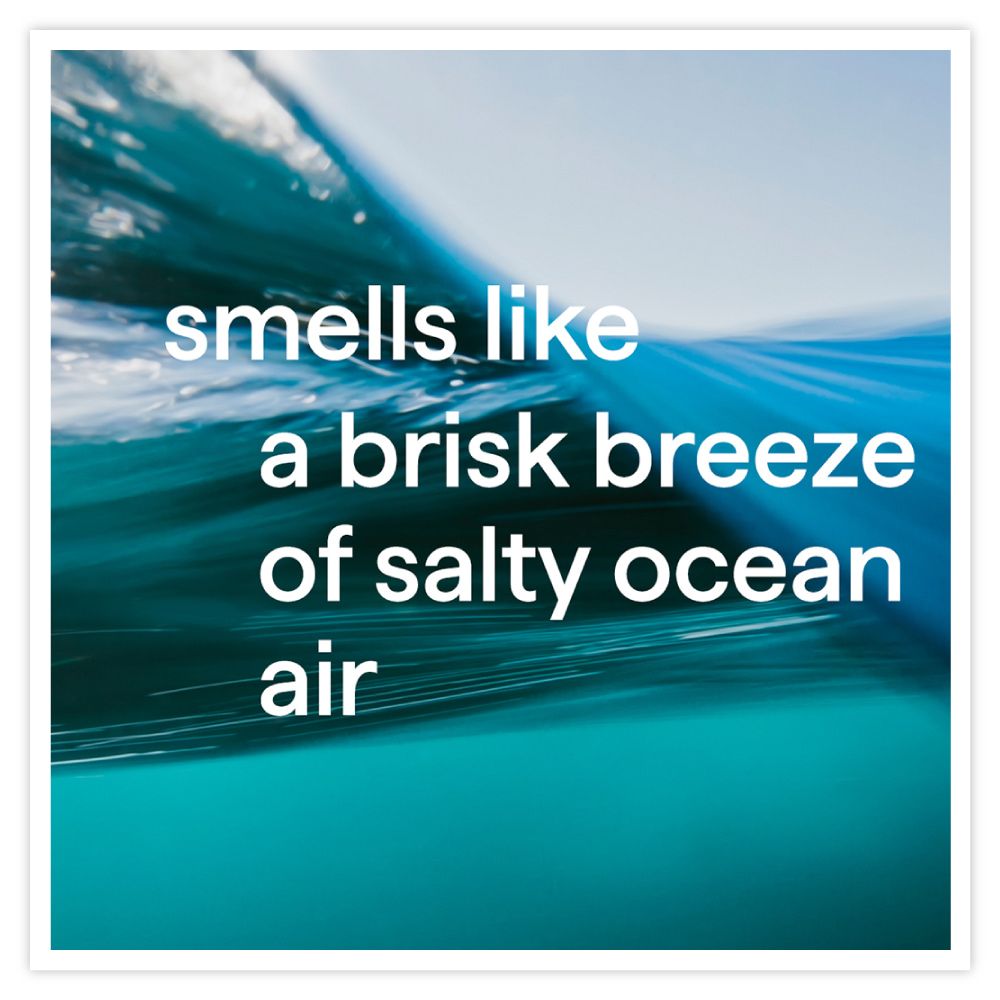 smells likea brisk breezeof salty oceanair