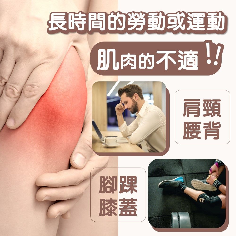  CHIDON 【周慶最特惠】 N9沉香本草極萃神奇膏