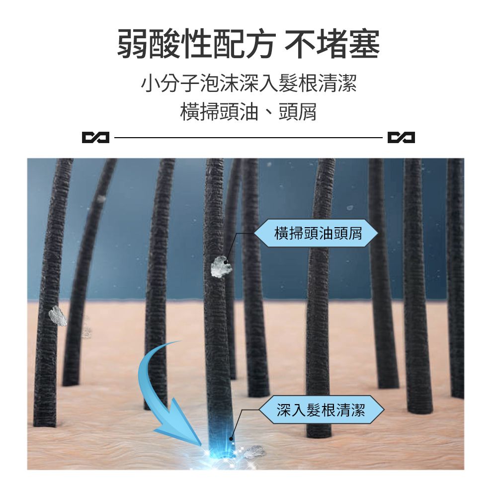 MANCODES 左顏右色 官方授權《左顏右色》清肌洗髮露【400g】