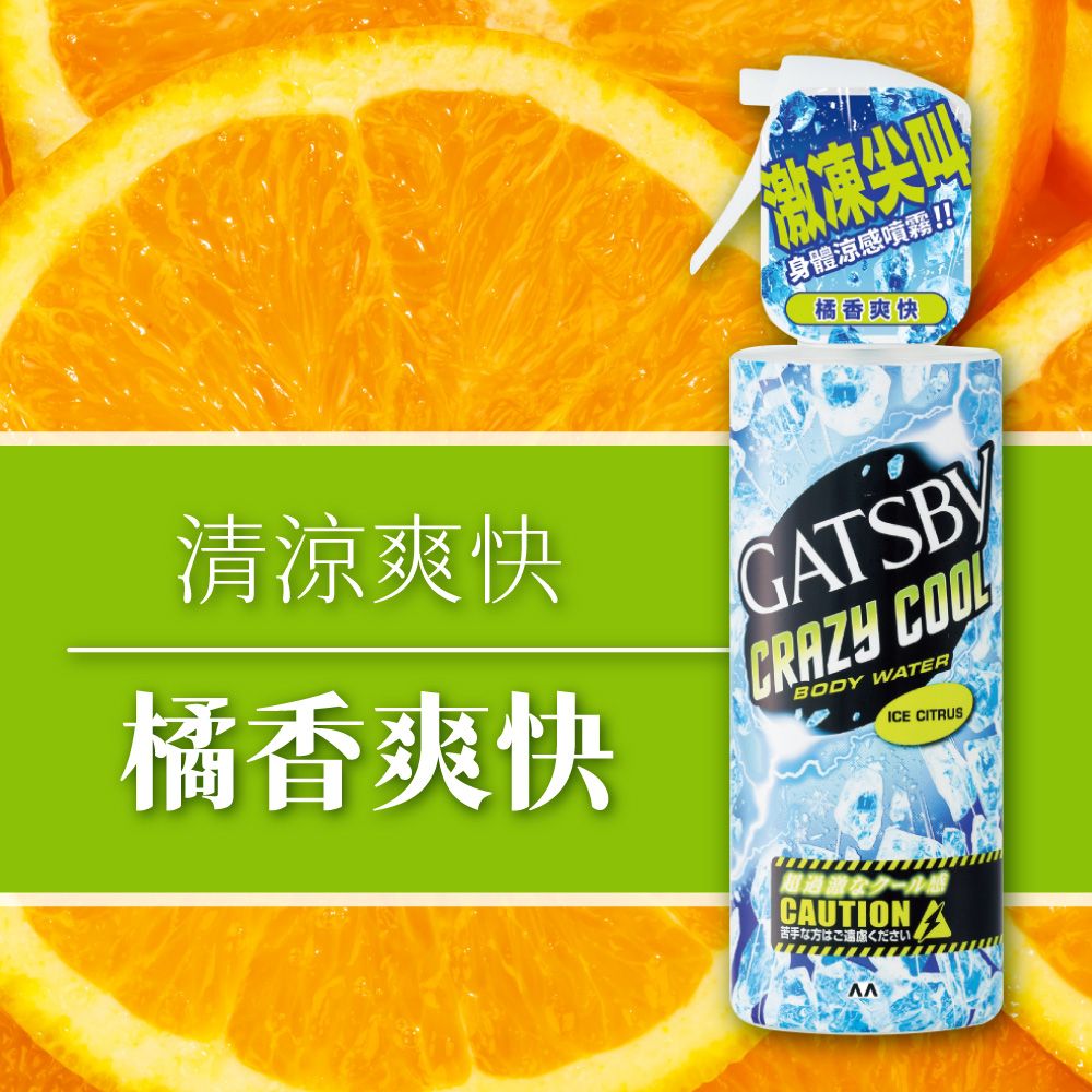 GATSBY 涼感噴霧 清爽涼快 快速降溫 夏日必備 魔法激凍用噴霧 170ml/瓶