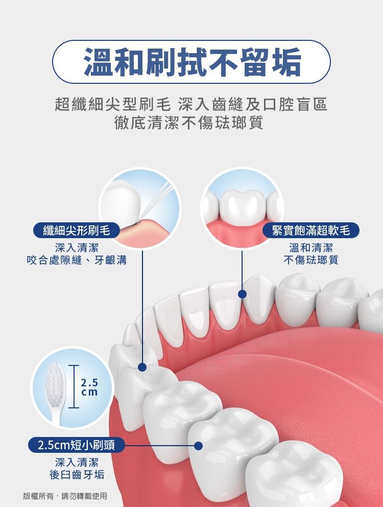 溫和刷拭不留超纖細尖型刷毛 深入齒縫及口腔盲區徹底清潔不傷琺瑯質纖細尖形刷毛深入清潔咬合處隙縫、牙齦溝緊實飽滿超軟毛溫和清潔不傷琺瑯質2.52.5cm短小刷頭深入清潔後臼齒牙垢版權所有,請勿轉載使用