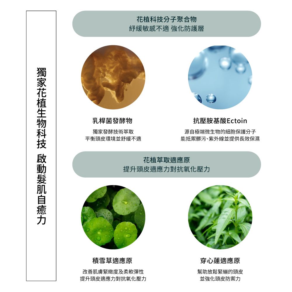 AVEDA 蘊活淨瑕潔膚凝膠 150ml