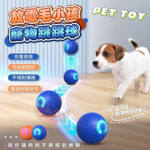 買一送一 【PETTOY】 寵物雙模式跳跳球