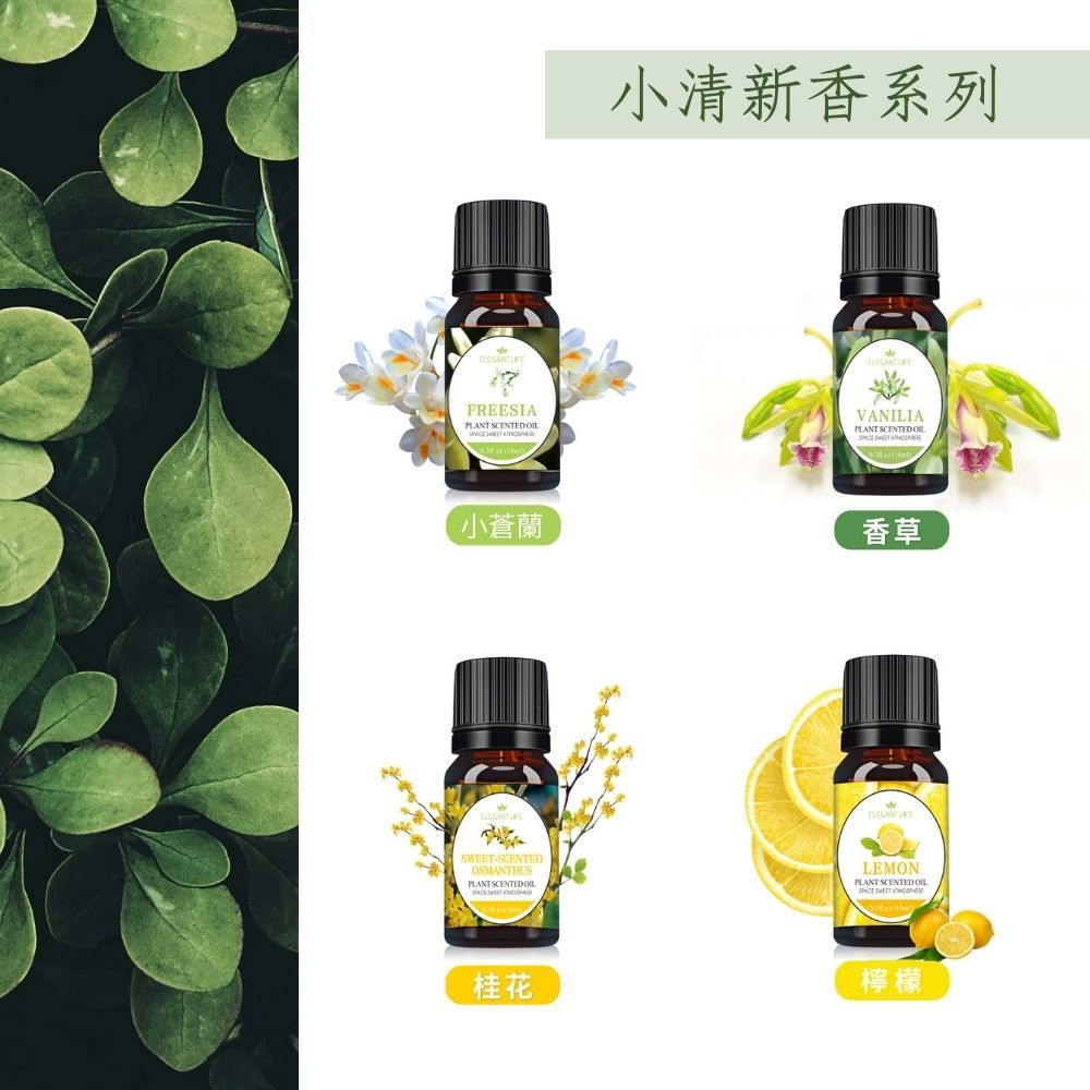  【森林之沐】ELEGANT LIFE水溶性植萃香薰精油 4入組(水氧機專用 加濕器 薰香 擴香)