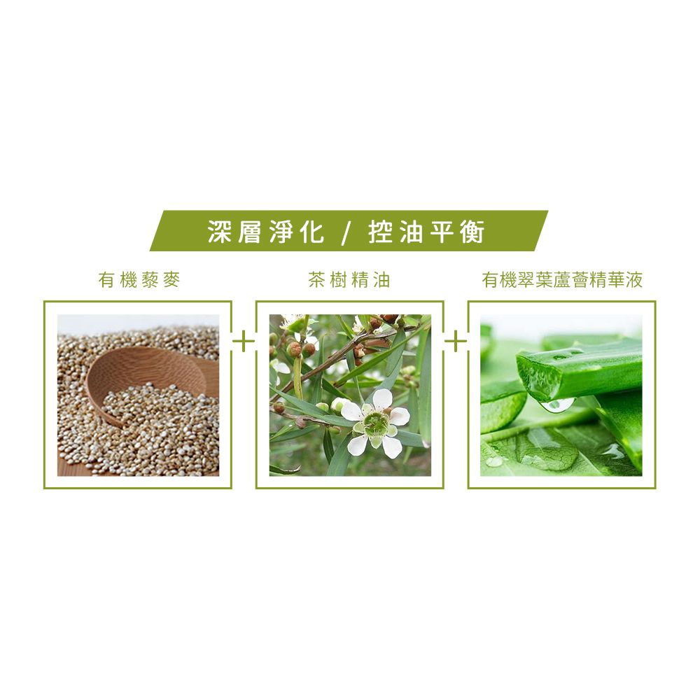 深層淨化/控油平衡有機藜麥茶樹精油有機翠葉蘆薈精華液