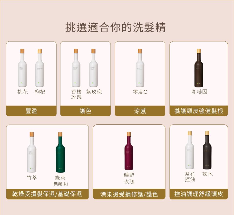  Oright歐萊德曠野玫瑰洗髮精1000ml