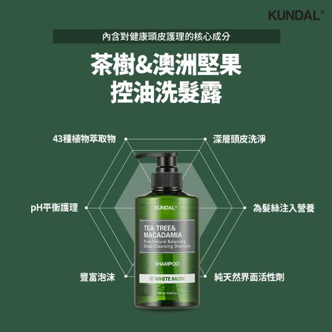 KUNDAL 昆黛爾 茶樹澳洲堅果控油洗髮露-白麝香