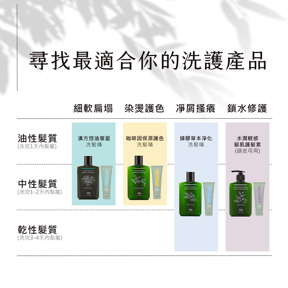 黑淬絲 水潤輕感髮肌護髮素(清新含羞草)320ml/瓶