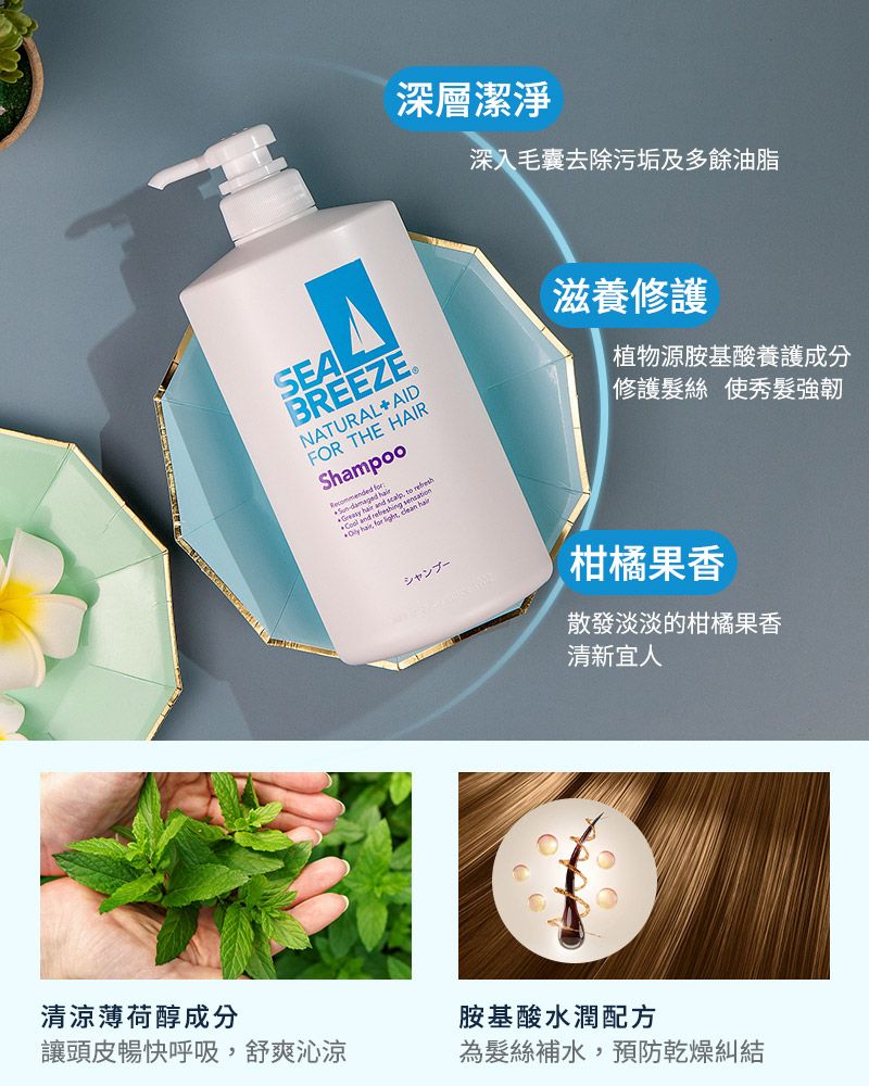 SHISEIDO資生堂】SEA BREEZE 海洋微風涼感洗髮精600ml-清爽柑橘香