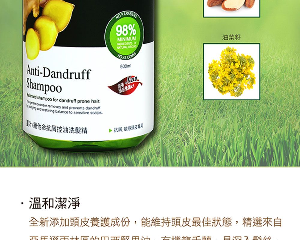 Anti-DandruffShampoo shampoo for dandruff prone hair   remov and prevents dandruff and restoring balance to sensitive scalps 98%MINIMUMINGREDIENTS NATURAL 500mlNew加強頭皮es他命抗控油洗髮精 抗屑頭皮專用油菜籽溫和潔淨全新添加頭皮養護成份,能維持頭皮最佳狀態,精選來自