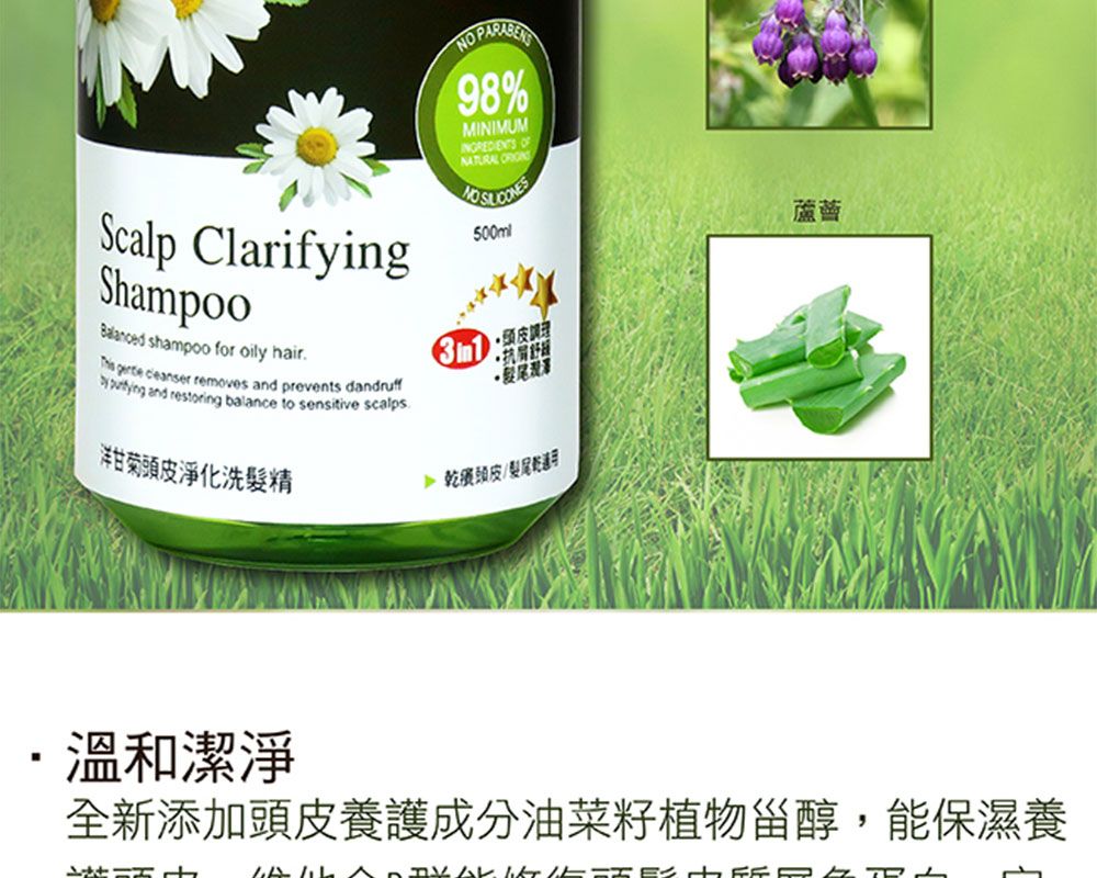 Scalp ClarifyingShampoo shampoo for oily hair   removes and prevents dandruff 98%MINIMUM OFNATURAL  500ml洋甘菊淨化洗精  and restoring balance to sensitive scalps頭皮·抗 頭皮/髮尾乾蘆薈溫和潔淨全新添加頭皮養護成分油菜籽植物甾醇,能保濕養