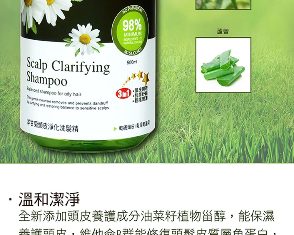 Scalp ClarifyingShampoo shampoo for oily hair   removes and prevents dandruff 98%MINIMUMINGREDIENTS OFNATURAL  500ml洋甘菊淨化洗精  and restoring balance to sensitive scalps頭皮抗 頭皮/髮尾乾蘆薈溫和潔淨全新添加頭皮養護成分油菜籽植物甾醇,能保濕