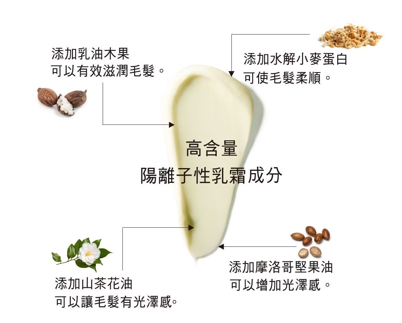 添加乳油木果添加水解小麥蛋白可以有效滋潤毛髮。可使毛髮柔順。添加山茶花油高含量陽離子性乳霜成分可以讓毛髮有光澤感。添加摩洛哥堅果油可以增加光澤感。