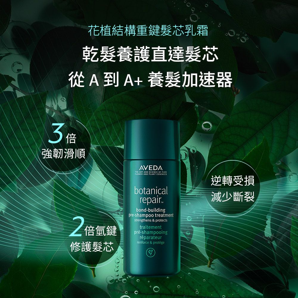 AVEDA 花植結構重鍵髮芯乳霜 150ml