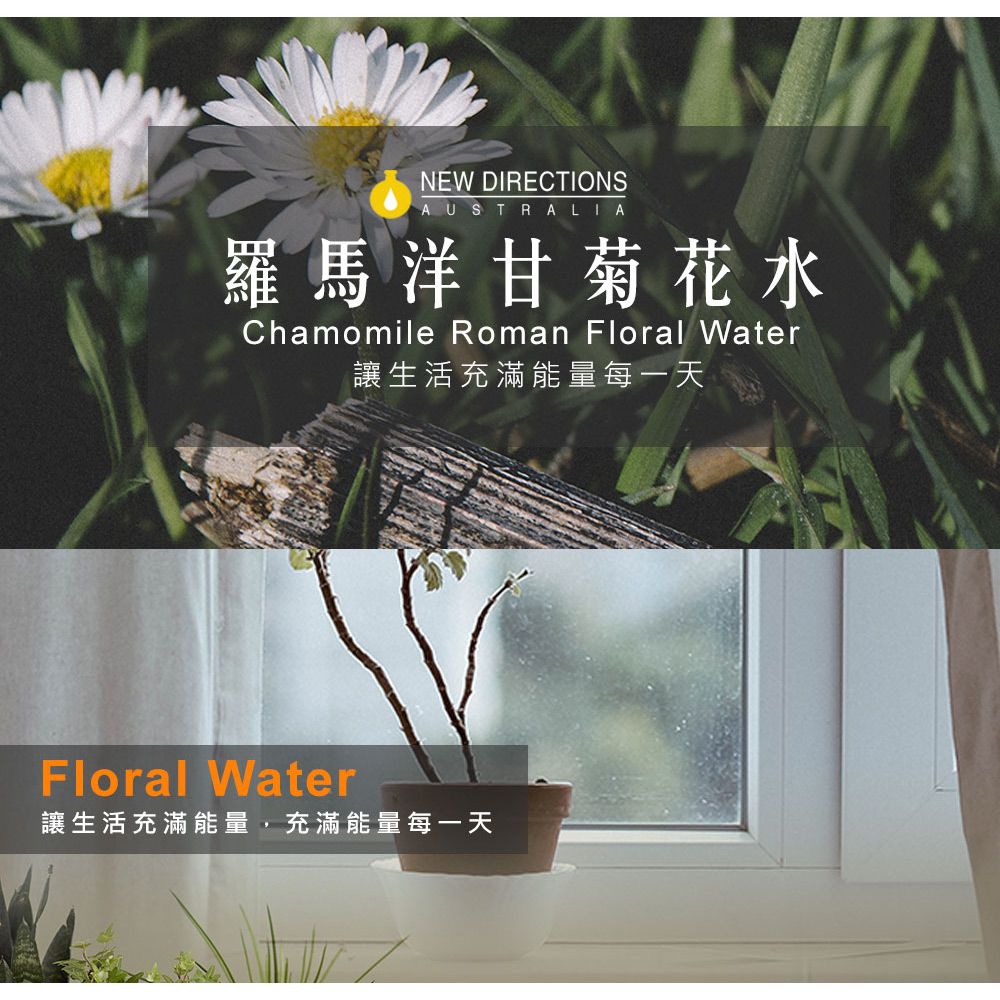 NEW DIRECTIONS 【新方向 】澳洲原裝頂級純露/花水1000ml(羅馬洋甘菊Chamomile Roman)