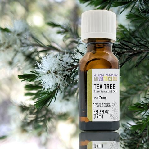 Aura cacia 卡希雅 美國進口 茶樹精油 0.5oz (15ml)