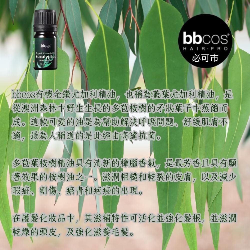 BBCOS 必可市 [義大利]有機金鑽尤加利精油5ml.X5瓶 原木禮盒裝