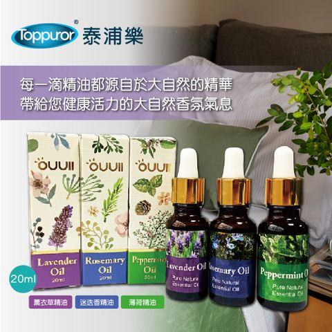 Toppuror 泰浦樂 MONY進口精油單瓶20ml 1入裝