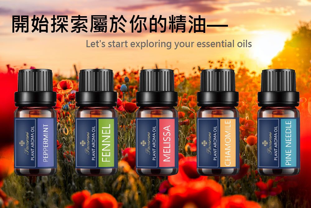 PLANT AROMA OILPEPPERMINTPLANT AROMA OILFENNELPLANT AROMA OILMELISSAPLANT AROMA OILCHAMOMILEPLANT AROMA OILPINE NEEDLE開始探索屬於你的精油Lets start exploring your essential oils