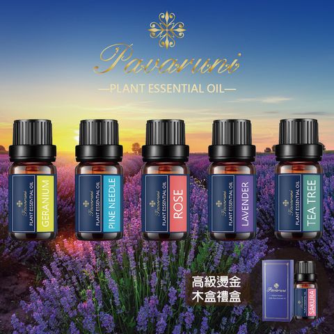 【Pavaruni】純精油50種香味10ml