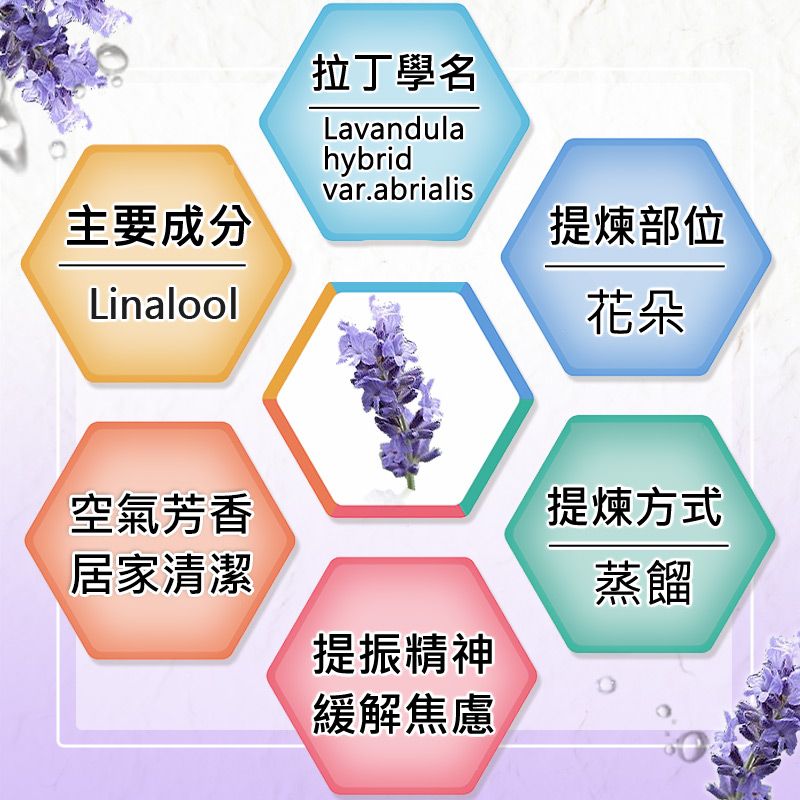 主要成分Linalool拉丁學名Lavandulahybridvar.abrialis空氣芳香居家清潔提煉部位花朵提煉方式提振精神緩解焦慮蒸餾