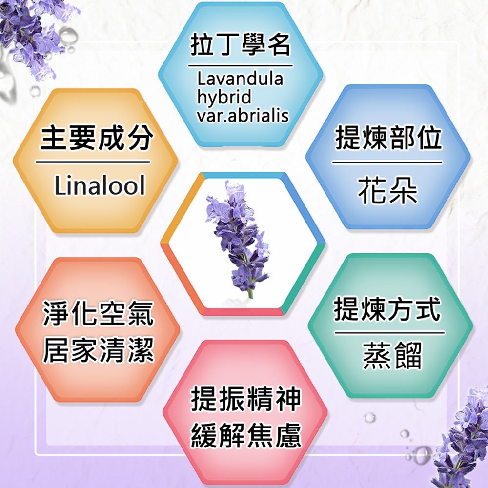 Warm 森林浴系列單方純精油100ml-醒目薰衣草