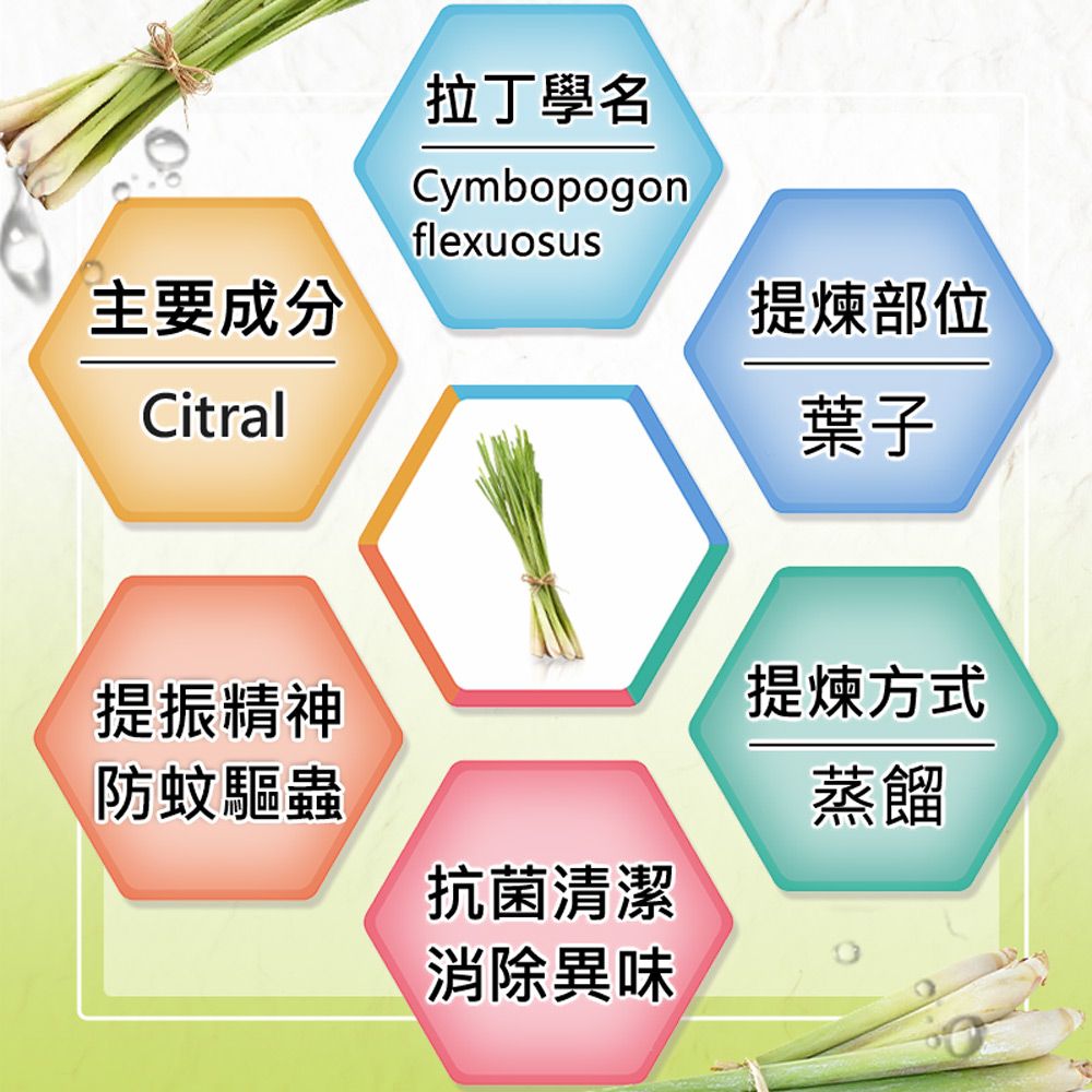 Warm 森林浴系列單方純精油100ml檸檬香茅/檸檬草