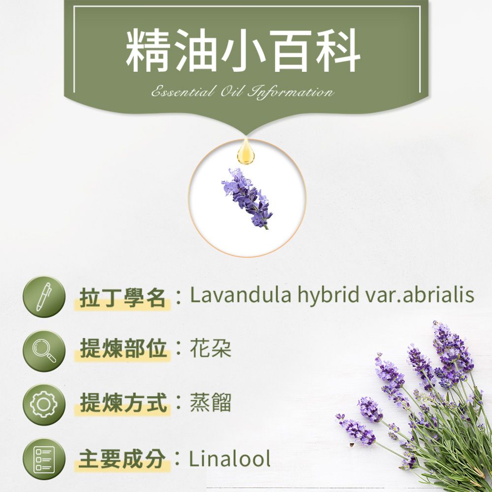 ANDZEN 安得仁 澳洲原裝進口單方純精油100ml-醒目薰衣草