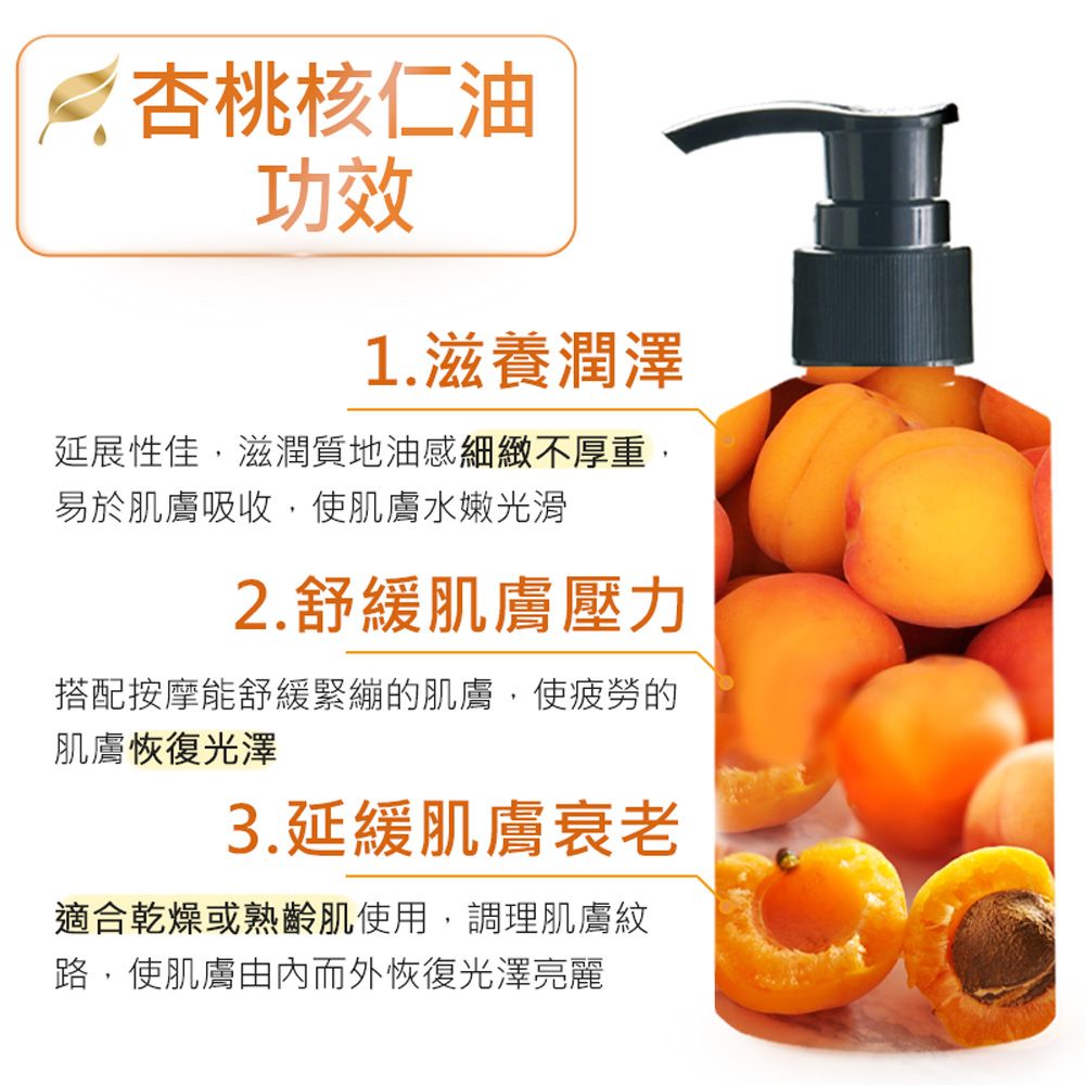 ANDZEN 安得仁 天然草本基底油按摩油保濕油160ml-杏桃核仁油Apricot Kernel