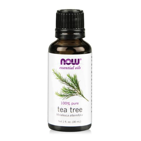 【NOW】天然茶樹精油(30ml)Tea Tree Oil