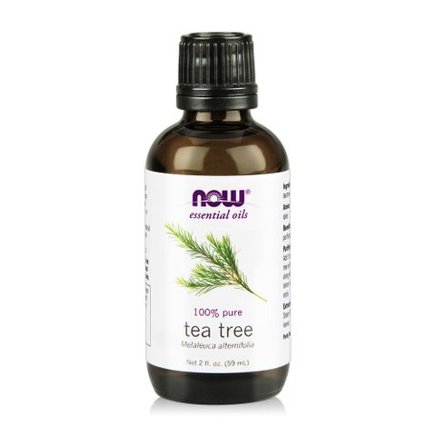 【NOW】茶樹精油Tea Tree Oil (59ml)
