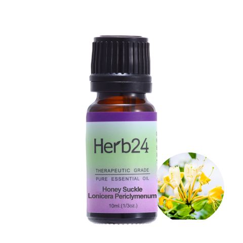 Herb24 草本24 忍冬 純質精油 10ml