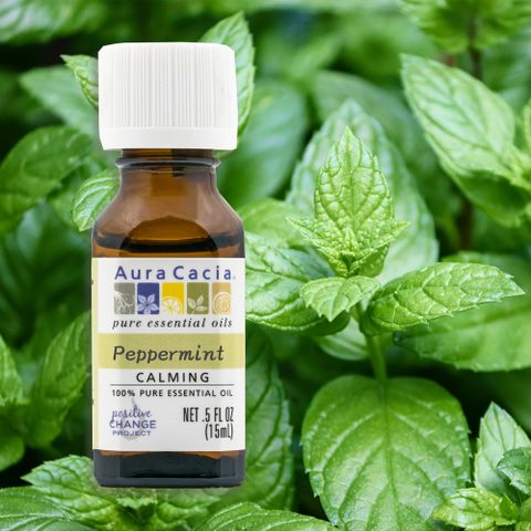Aura cacia 卡希雅 美國進口 薄荷原萃精油6瓶優惠組(15mL x 6)