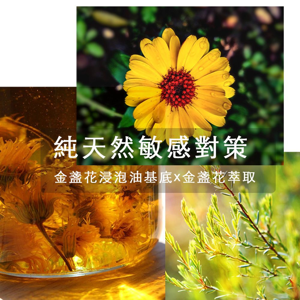 Agricola 植物者 -金盞花敏感修護霜(30ml) - 德國製造 金盞花浸泡油基底 100%純天然嬰兒屁屁霜