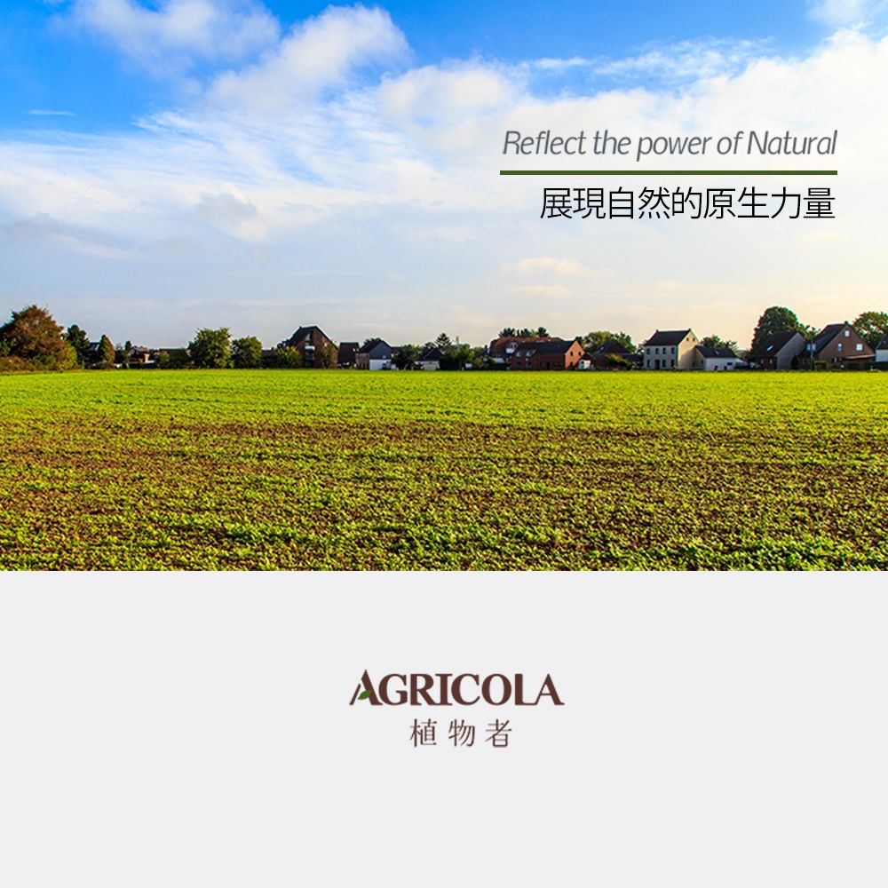 Agricola 植物者 -暖洋洋循環按摩油(30ml) - 月見草油搭配絲柏精油 居家SPA按摩精油暖宮複方