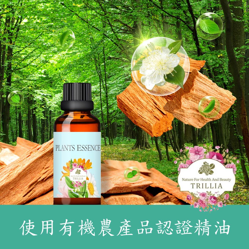 Trillia 原木森林浴複方精油(50ml)