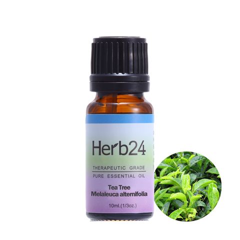 Herb24 草本24 茶樹 純質精油 10ml