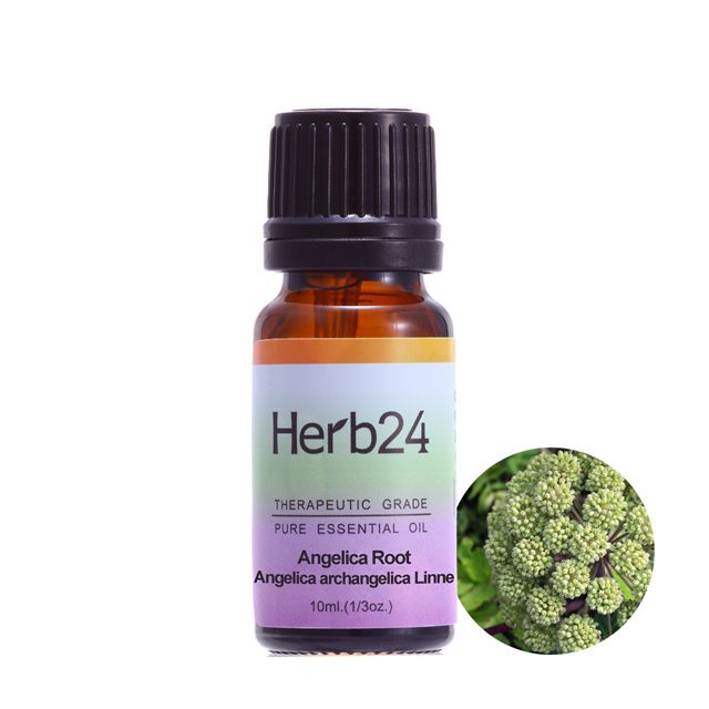 Herb24 草本24 歐白芷 純質精油 10ml